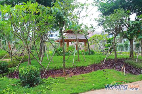 正业家园实景图 正业家园实景图