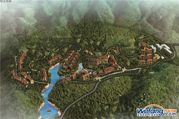 阳光雨林鸟瞰图