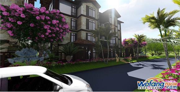 阳光雨林效果图