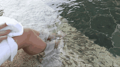 谷雨|有一种生活叫在兴隆泡温泉