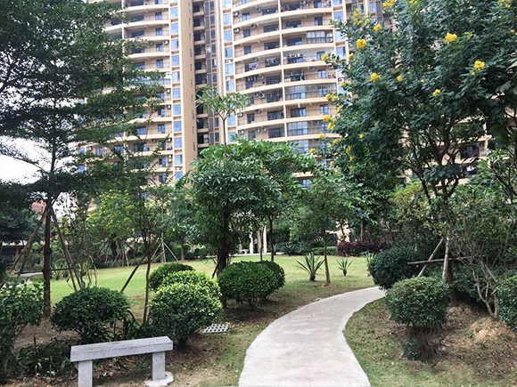 晟大海湾城项目实景图 晟大海湾城项目实景图