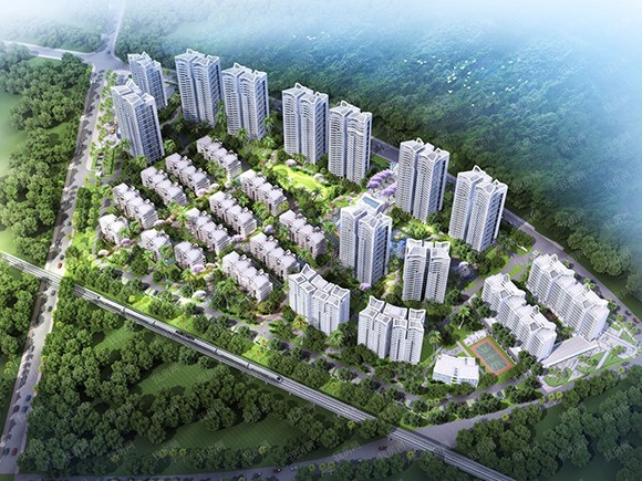 时分·亚龙湾鸟 时分·亚龙湾鸟